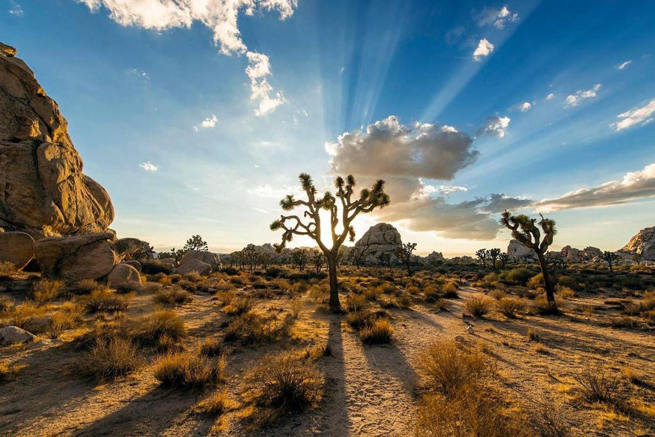 Skyhouse Villa Joshua Tree Exterior photo